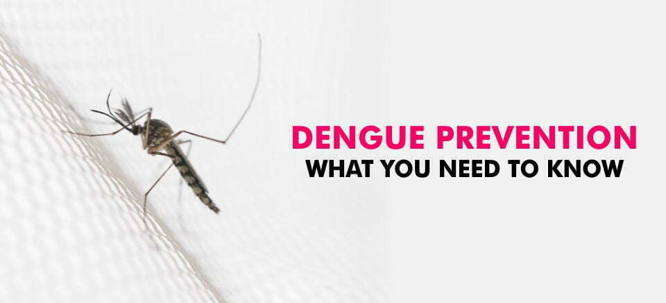 Dengue Prevention & Remedies