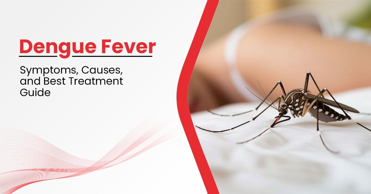 Dengue Fever