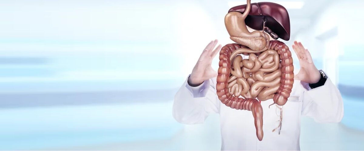 Food Pipe Stomach and Small Intestine Cancer